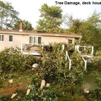 Elite Roofing Solutions LLC ico