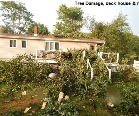 Elite Roofing Solutions LLC