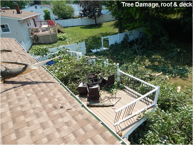 Elite Roofing Solutions LLC Picture 8