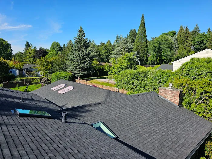 Archetype Roofing Picture 8