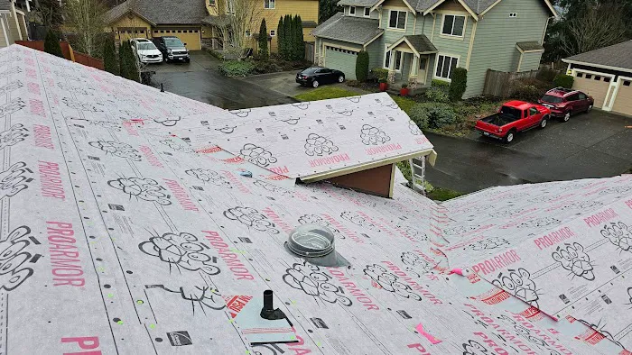 Archetype Roofing Picture 6