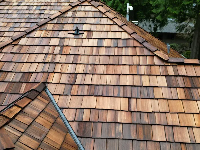 Archetype Roofing Picture 1