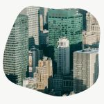 Andrew & Sons Roof Repair
