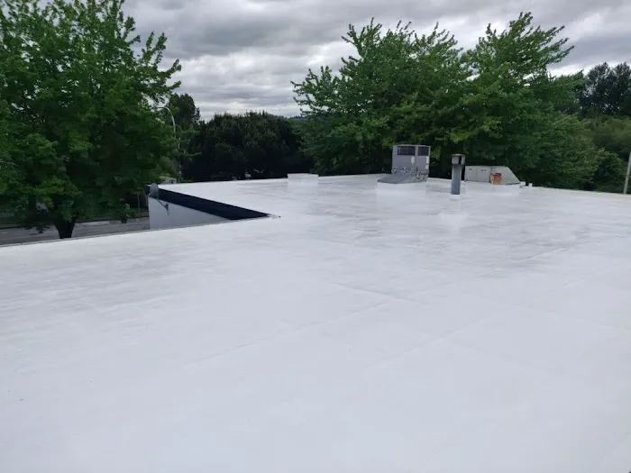 Trade Roofing Picture 6