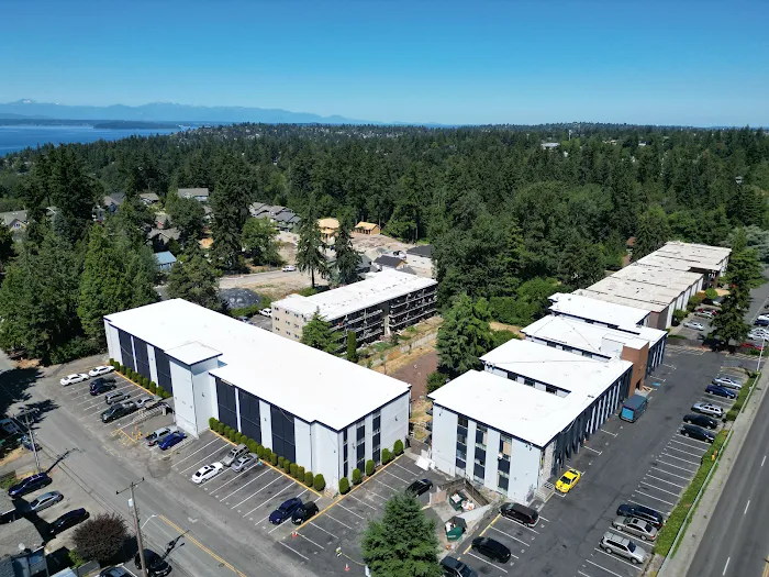 Trade Roofing Picture 10