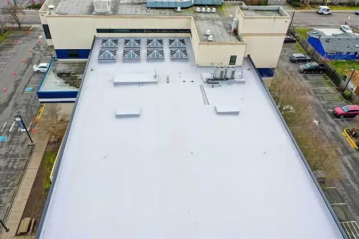 Three Tree Roofing Picture 5