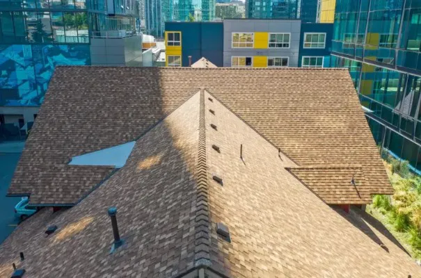 Three Tree Roofing Picture 6