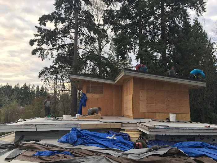 Sharp Roofing Picture 1