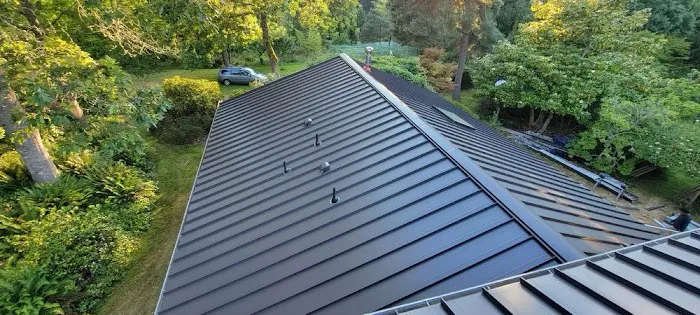 Perdigon Roofing Picture 3