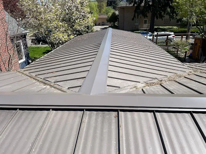 Perdigon Roofing Picture 9