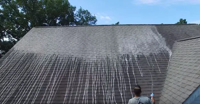 Eco Roofing & Roof Replacement Picture 3