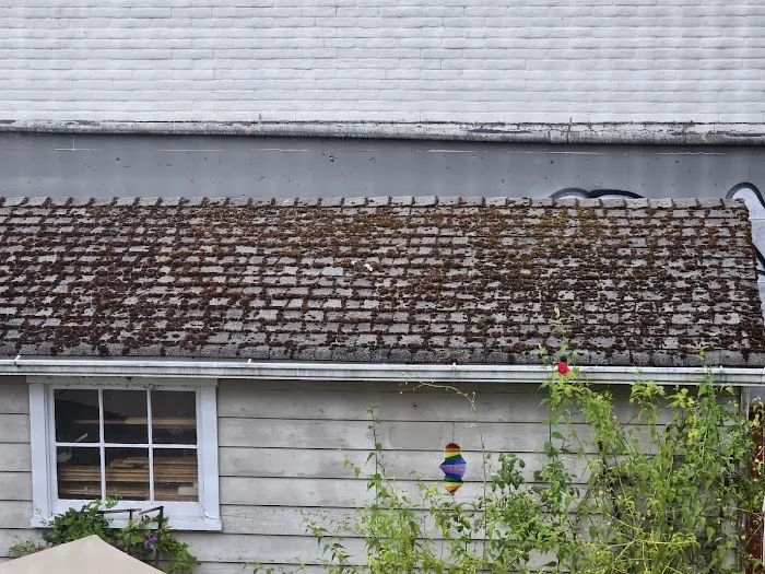 Eco Roofing & Roof Replacement Picture 2