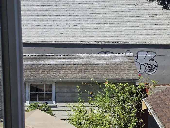 Eco Roofing & Roof Replacement Picture 1