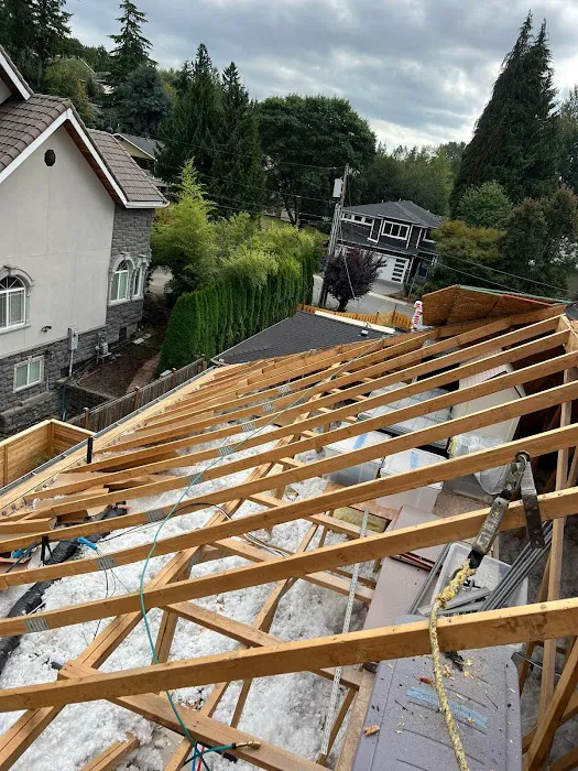 Brave Builders Roofing Picture 8