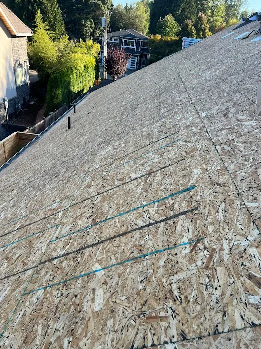 Brave Builders Roofing Picture 10