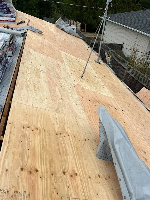 Brave Builders Roofing Picture 9