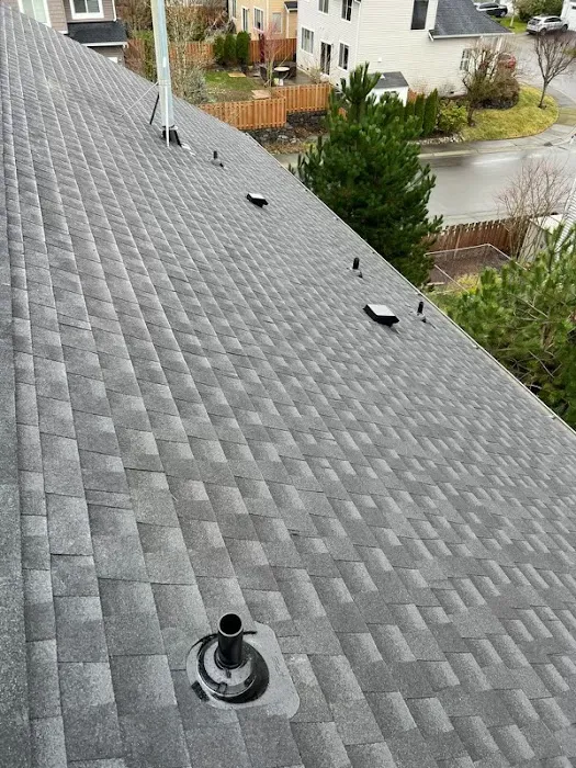 Brave Builders Roofing Picture 1