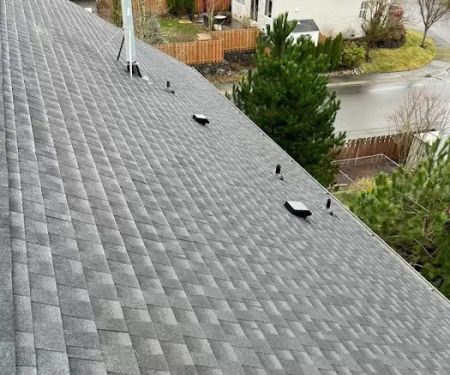 Brave Builders Roofing
