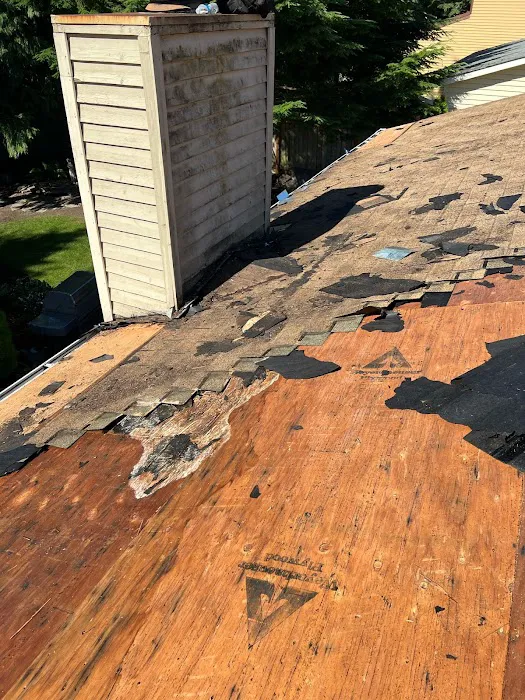 Astro Roofing Picture 3