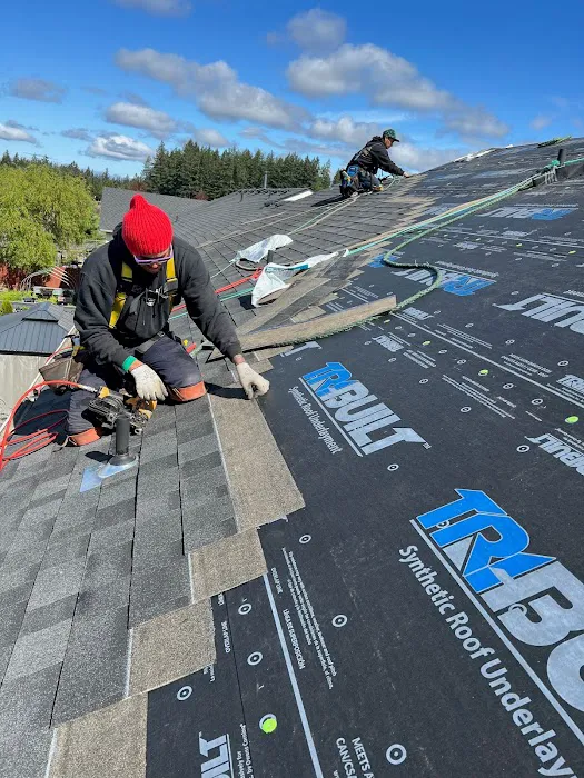 Astro Roofing Picture 9