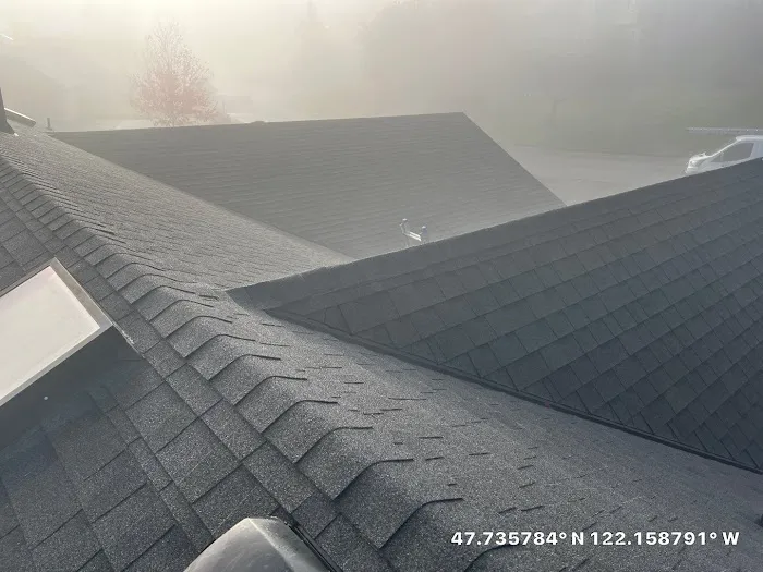 Astro Roofing Picture 5