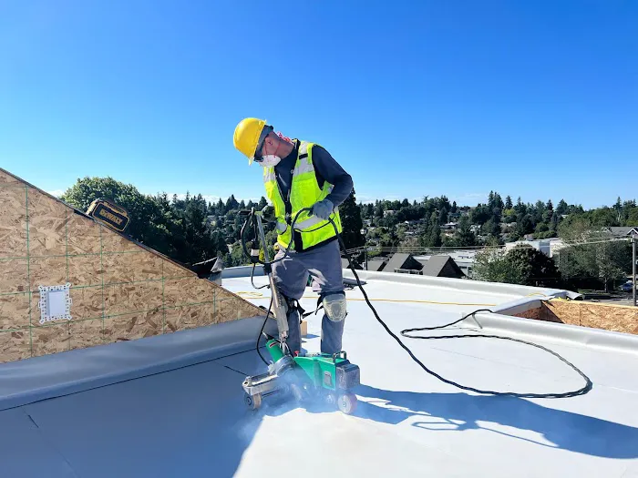 Astro Roofing Picture 2