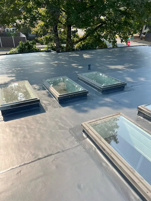 Astro Roofing Picture 4