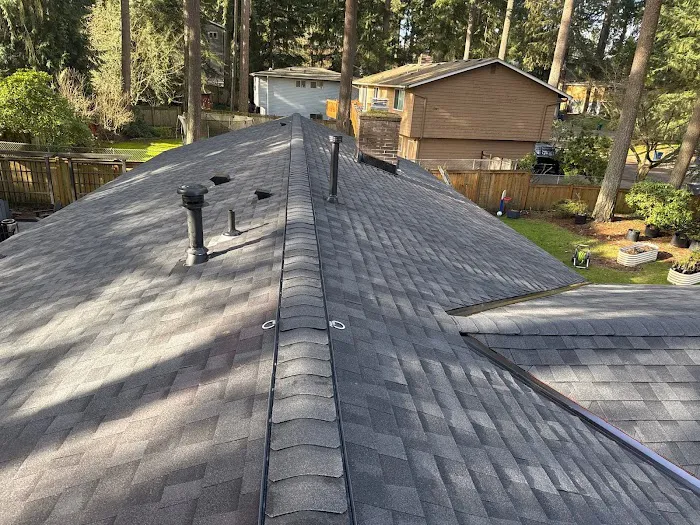 Astro Roofing Picture 10