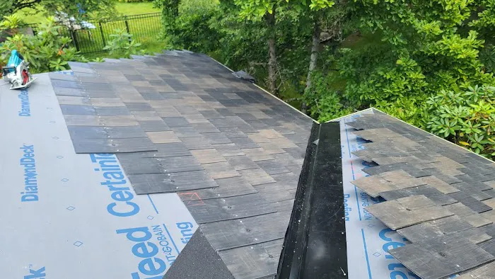 Leo Construction Services LLC Picture 2