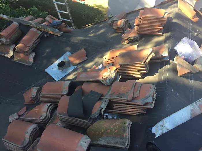 Go Roof Tune-Up, Inc. Picture 4