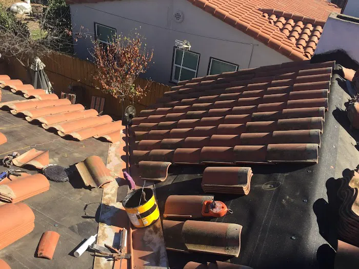 Go Roof Tune-Up, Inc. Picture 1