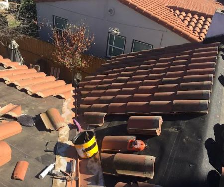 Go Roof Tune-Up, Inc.