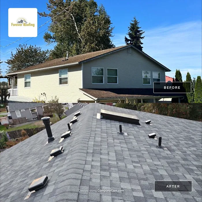 Forever Roofing Picture 8