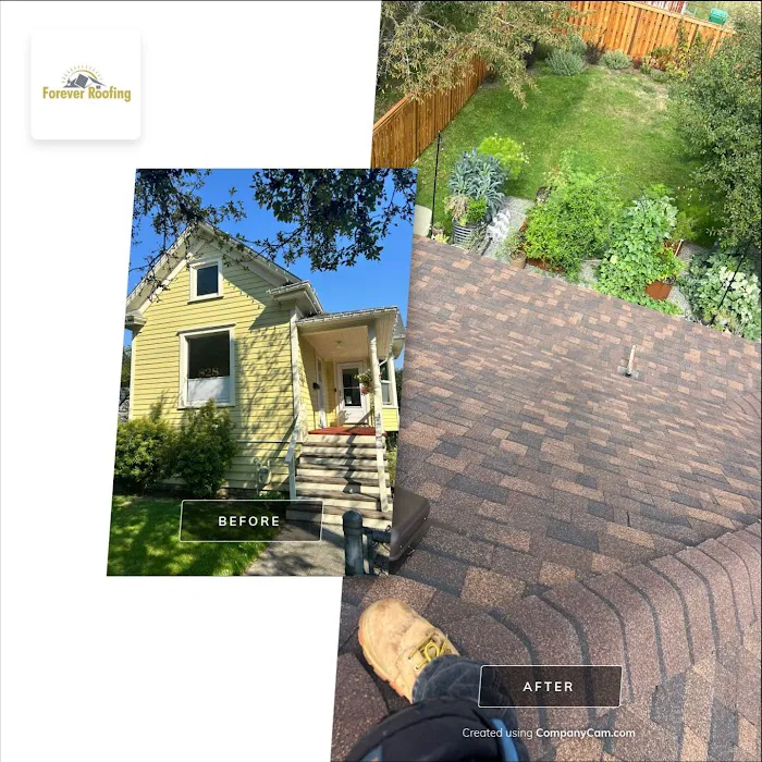 Forever Roofing Picture 3