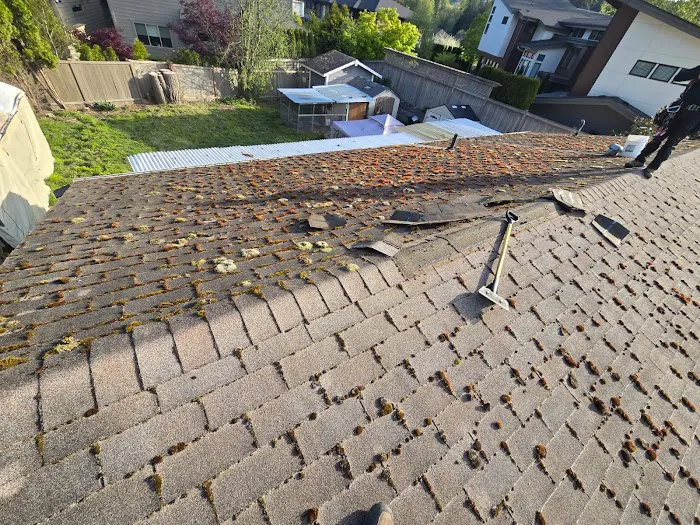 New Roof Solutions & Quality LLC Picture 4