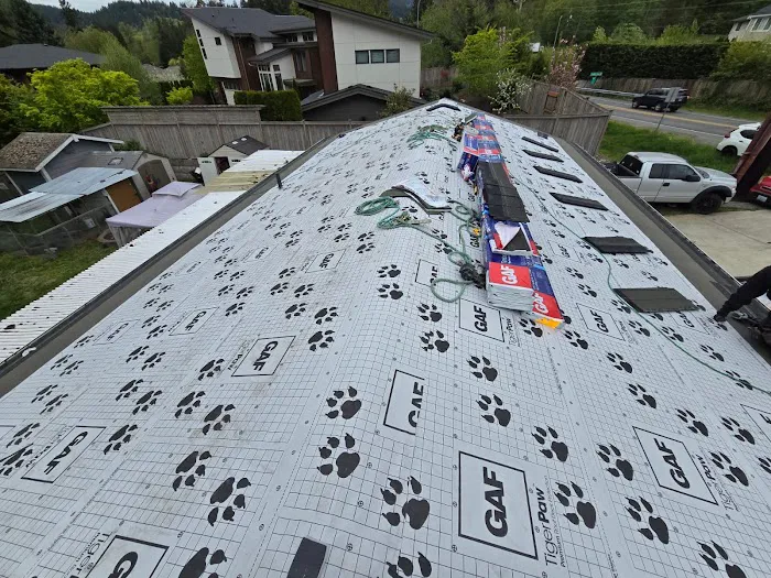 New Roof Solutions & Quality LLC Picture 10