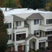 Diamond Roofers LLP ico