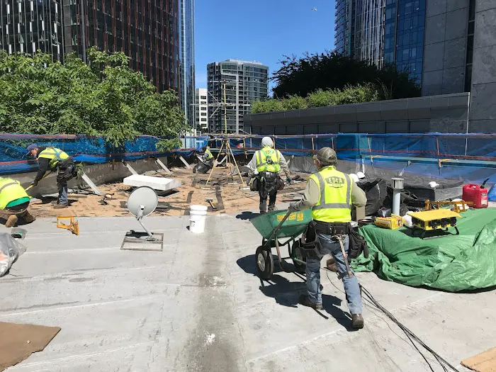 Edca Roofing Picture 9