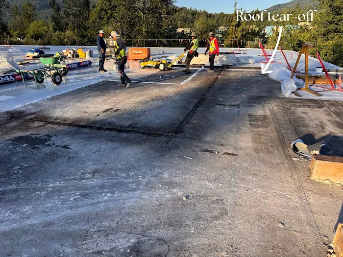 Edca Roofing Picture 5