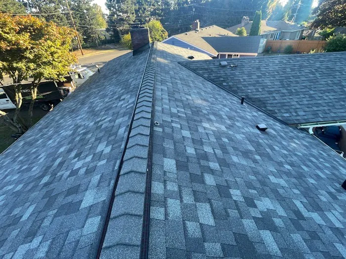 Tekline Roofing Picture 1