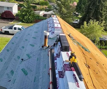 Fred Meyer Roofing