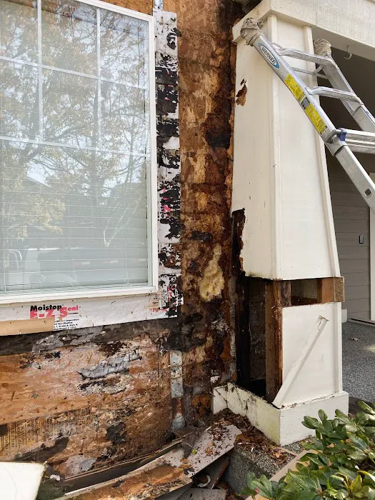 Ferdi Exteriors Picture 2