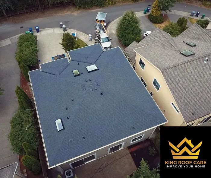 King Roof Care Picture 5