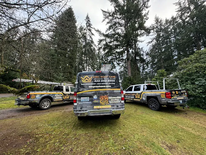 King Roof Care Picture 4