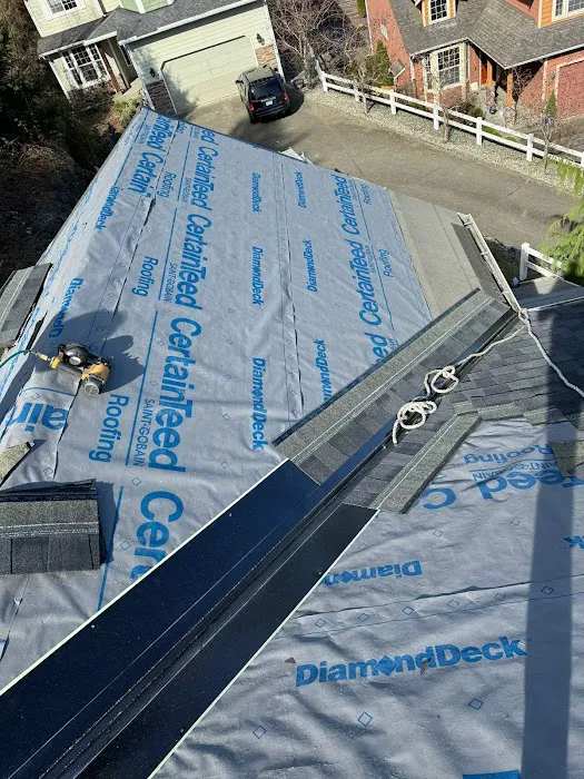 King Roof Care Picture 6