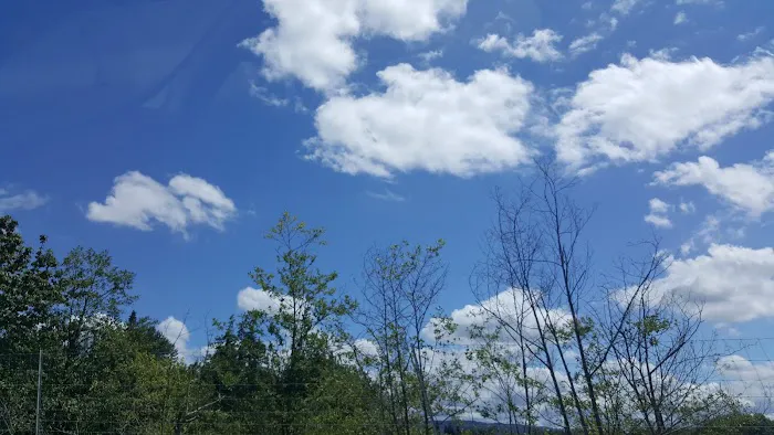 Lifetime Flat Roofs Picture 5