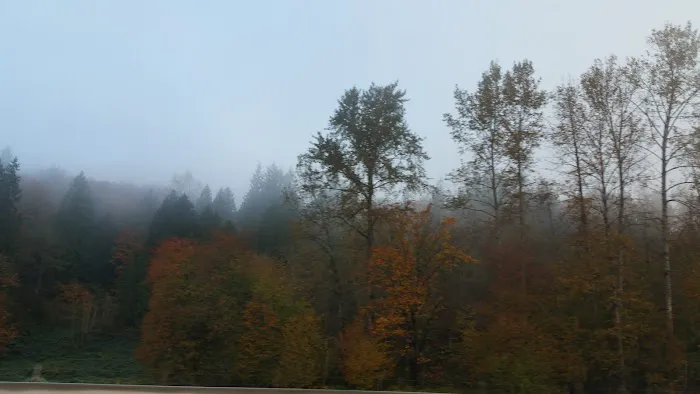 Lifetime Flat Roofs Picture 1