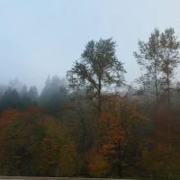 Lifetime Flat Roofs ico