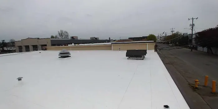 Lifetime Flat Roofs Picture 6