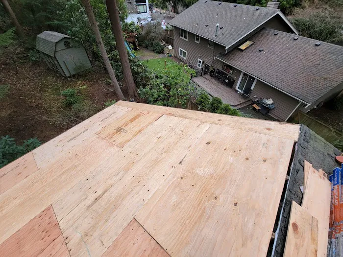 Express Roofing And Gutter,LLC Picture 5